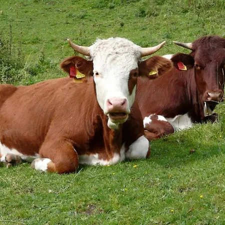 Vakantieboerderij Marchlhof *