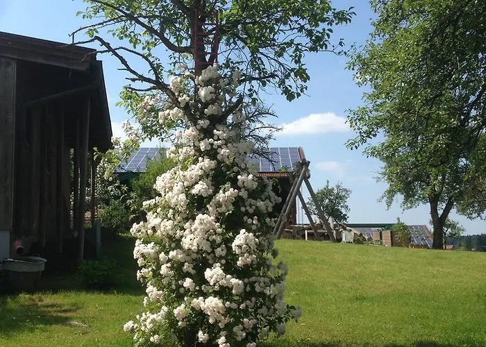 Marchlhof Aschau im Chiemgau